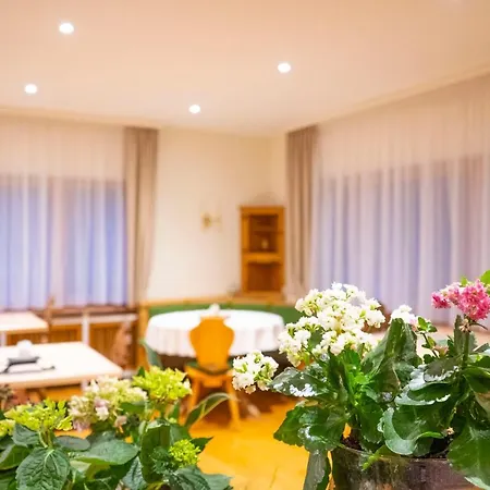 Basisch-vegetarischen Naturion® Hotel 3*