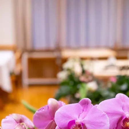 Naturion 欣特察尔滕