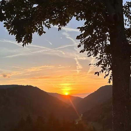 Hotel Naturion Hinterzarten