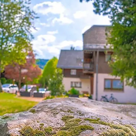Otel Naturion Hinterzarten